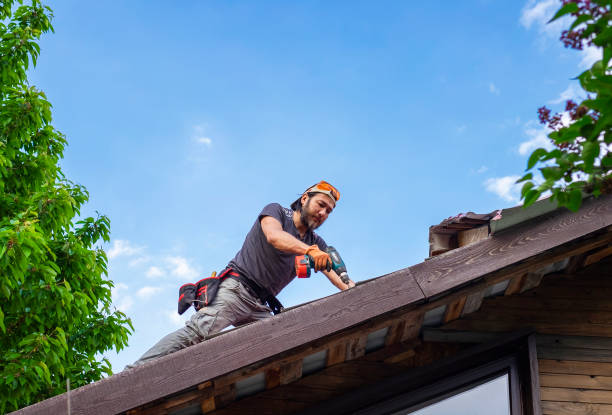 Best Steel Roofing  in Minonk, IL